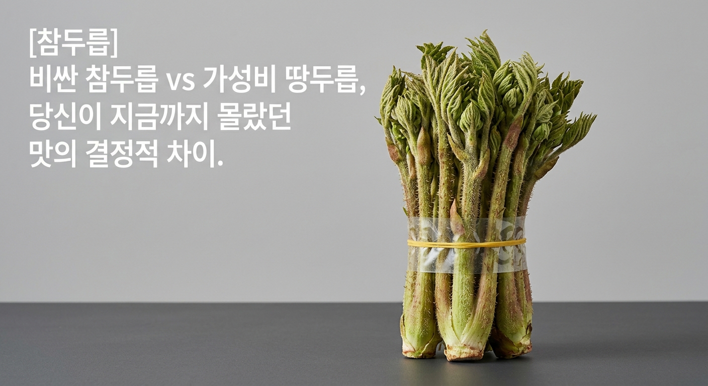 [참두릅] 비싼 참두릅 vs 가성비